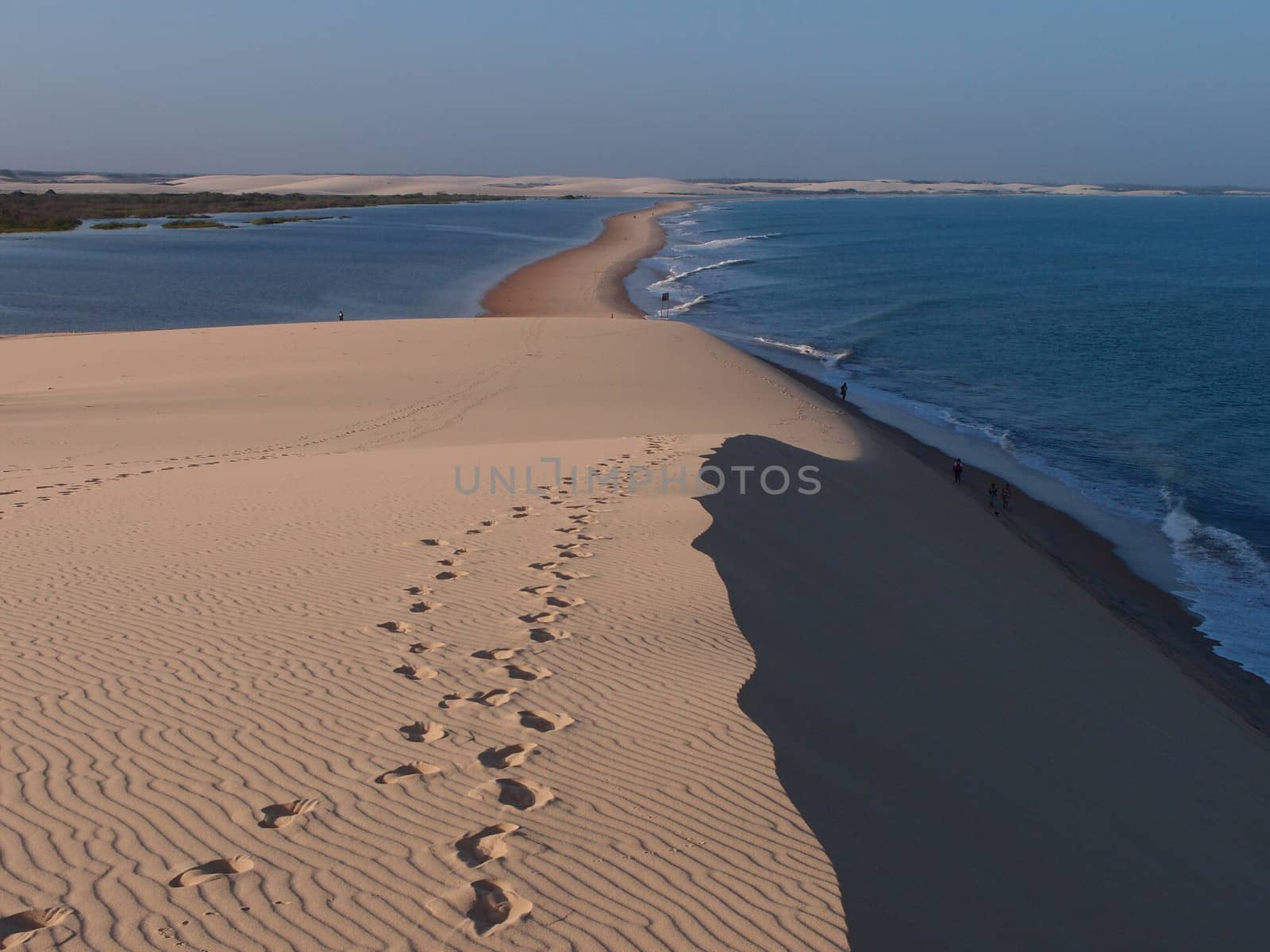 Jericoacoara Beach seen from the dune top by eldervs