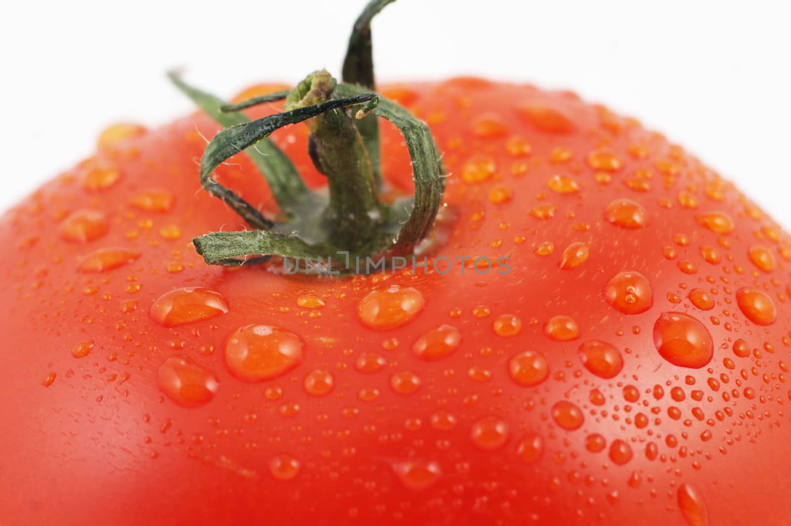 ripe tomato closeup