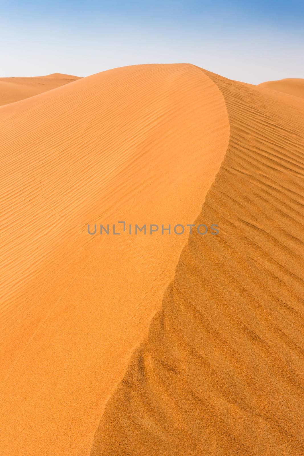 The Arabian desert on a hot sunny day