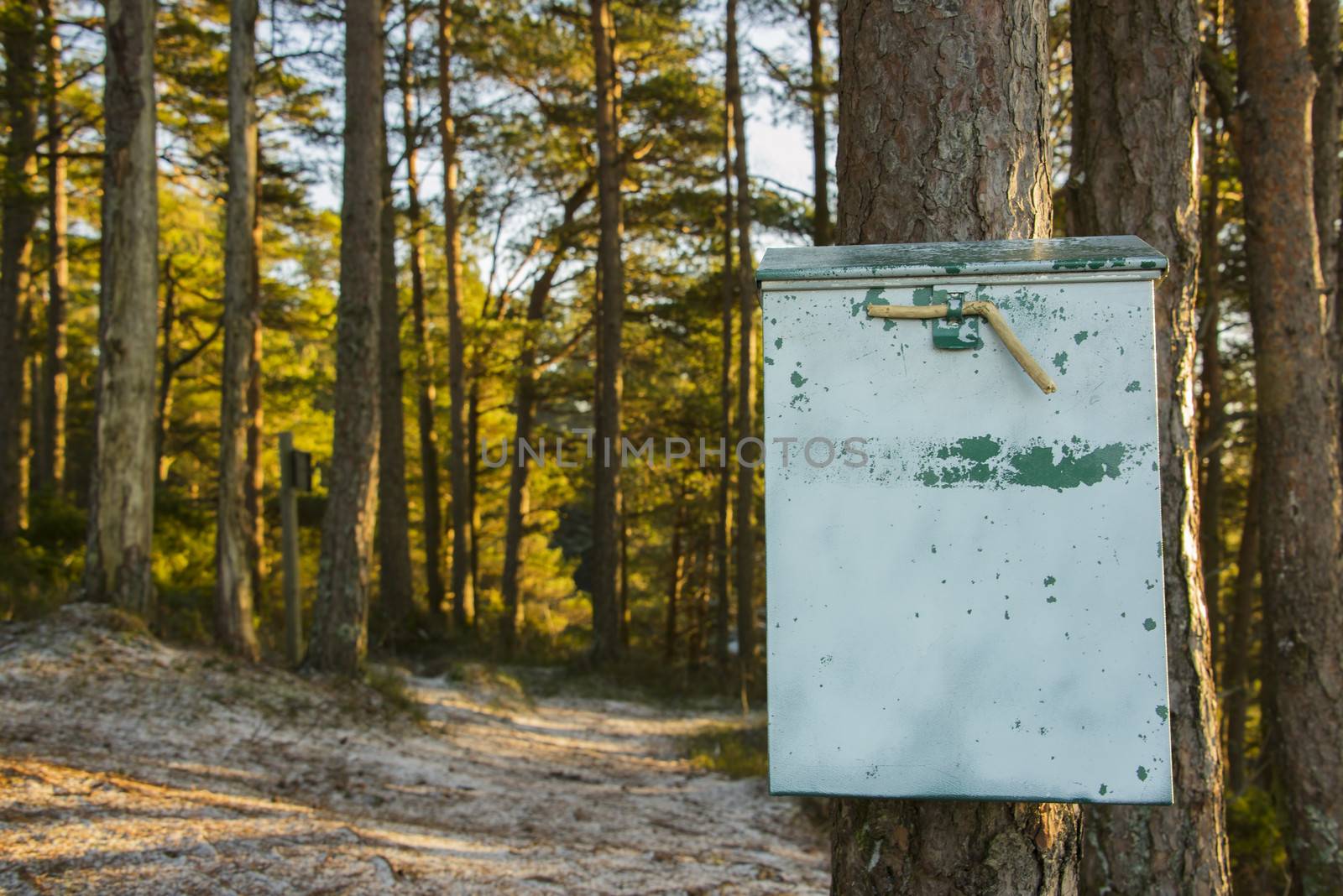 An old worn mailbox in the forest