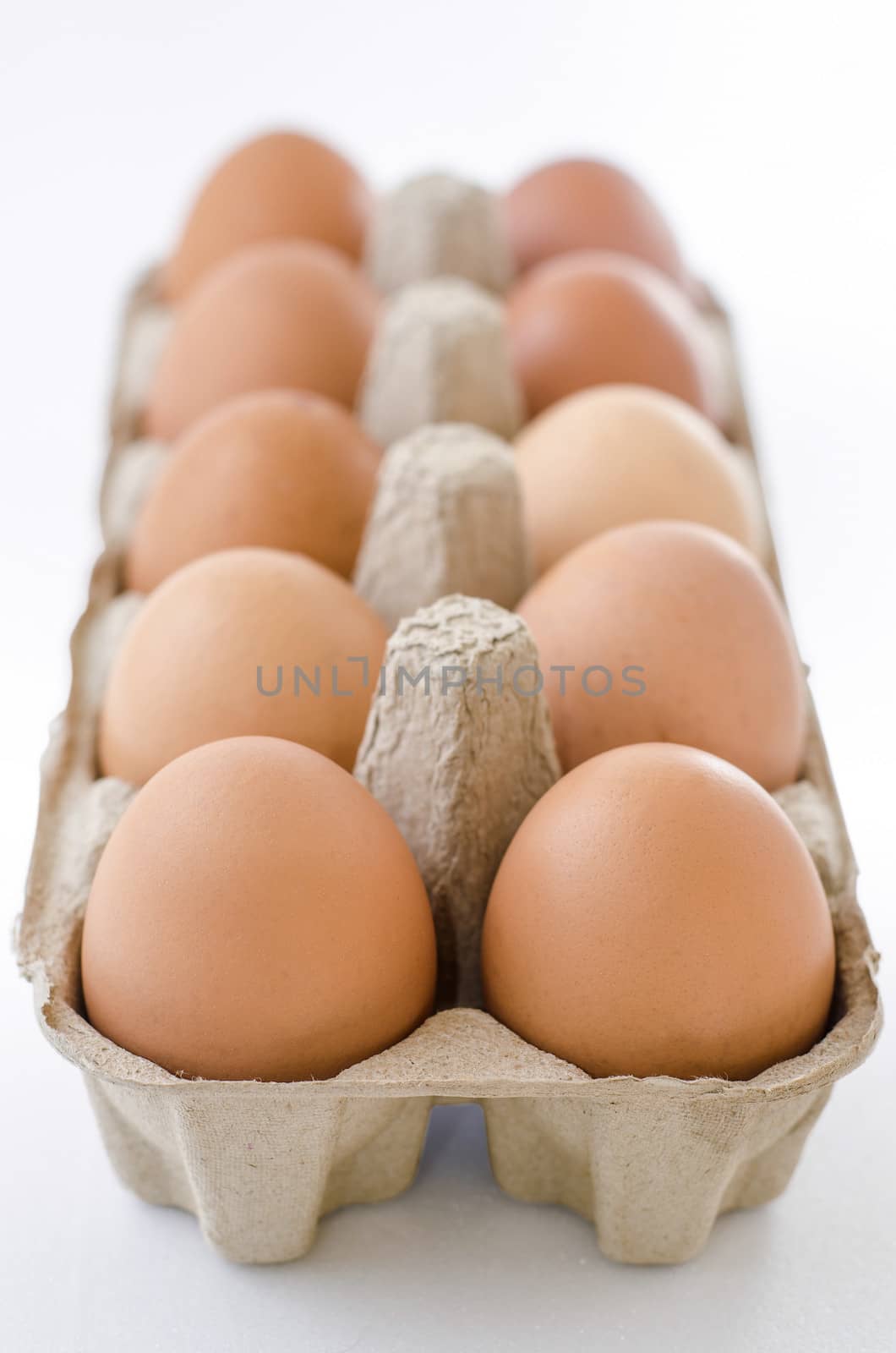 Fresh eggs in a cardboard tray  by 9george