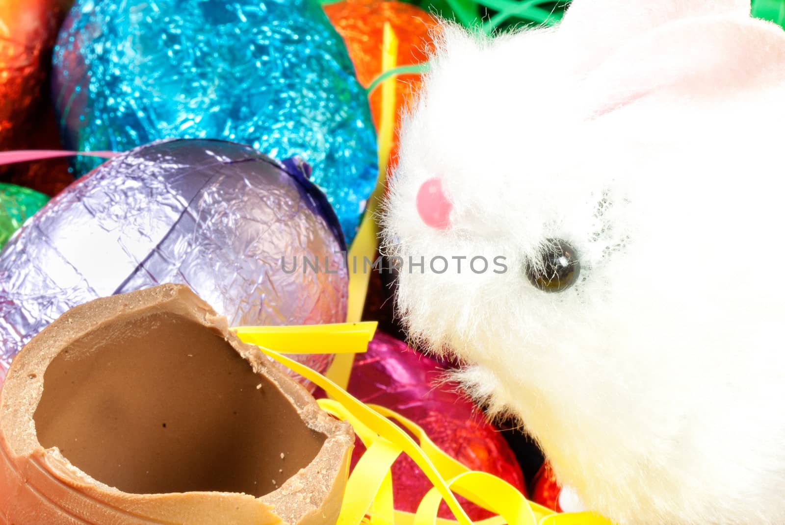 Close-up of a bunny toy eating a chocolate egg on an easter nest.