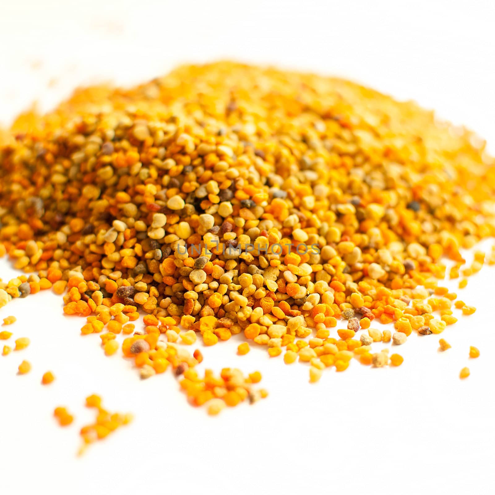 bee pollen by Dessie_bg