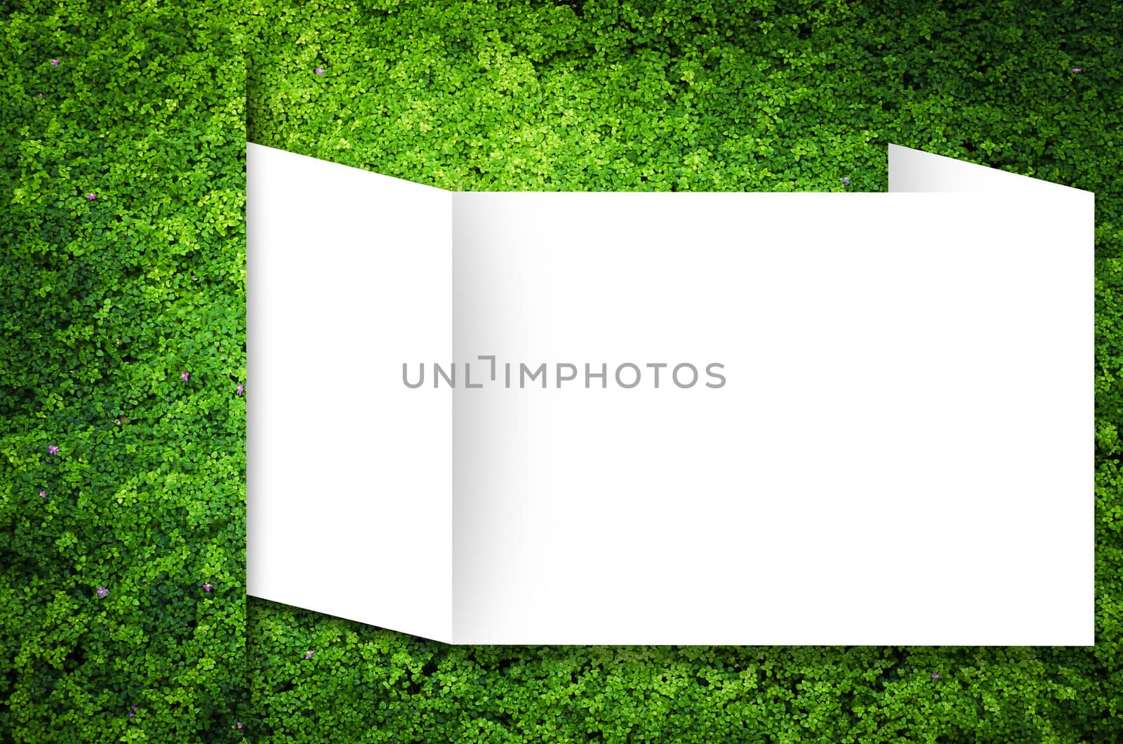 Nature Green Background, grass cover eco