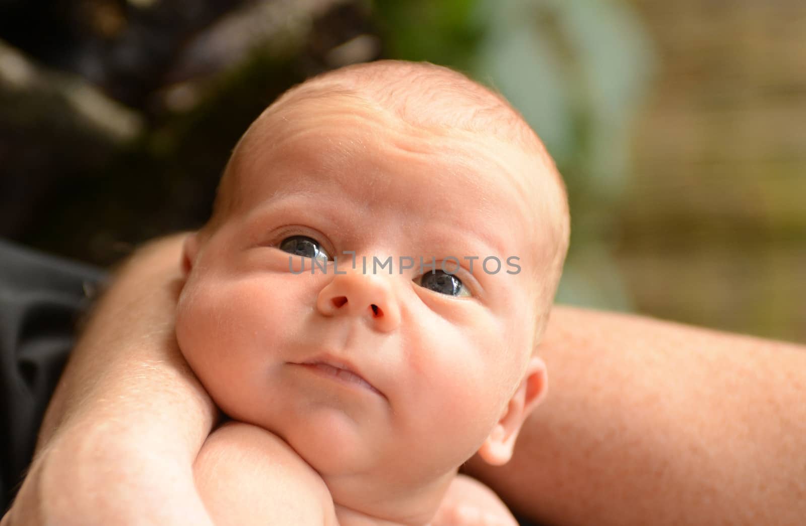 newborn baby with bright eyes by ftlaudgirl