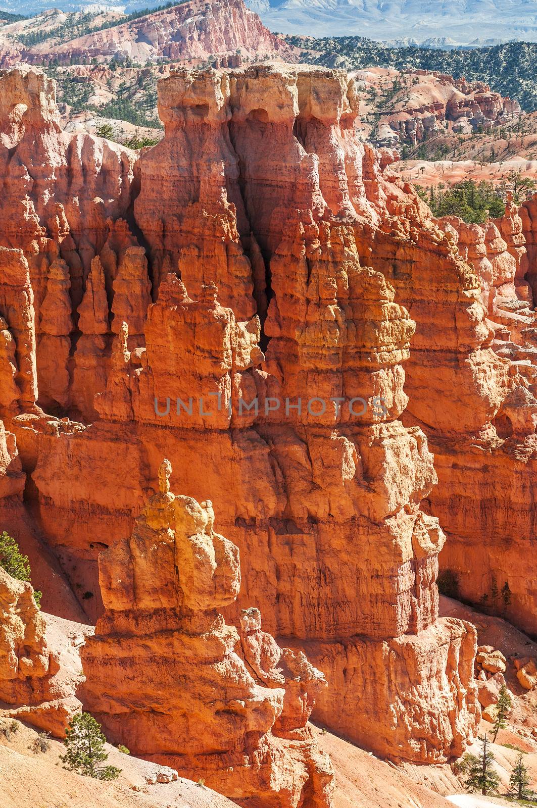 spectacular Hoodoo rock spires of Bryce Canyon, Utah, USA