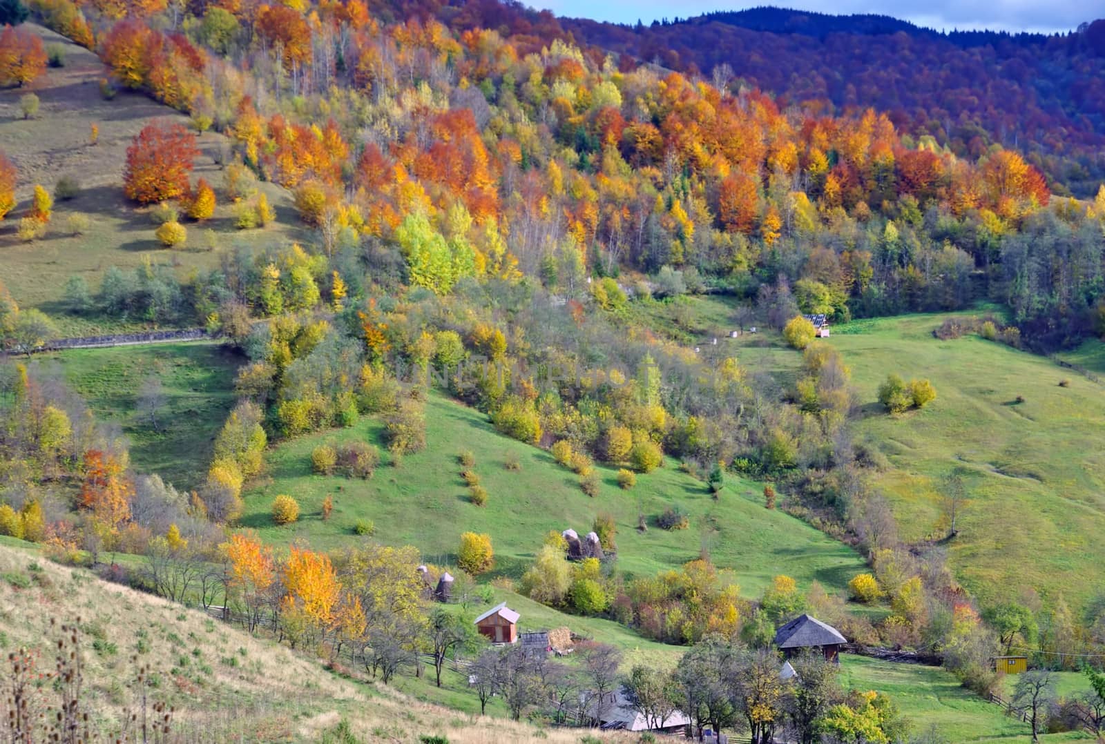 Autumnal landscape with meadow and forest in Romania