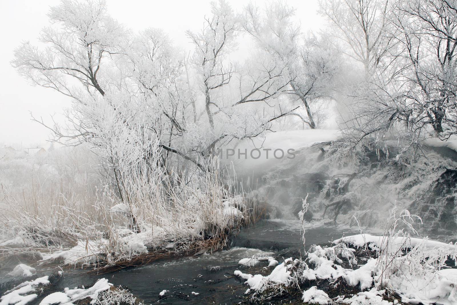 Frozen stream with waterfall and icicles in the winter, Ukraine. 