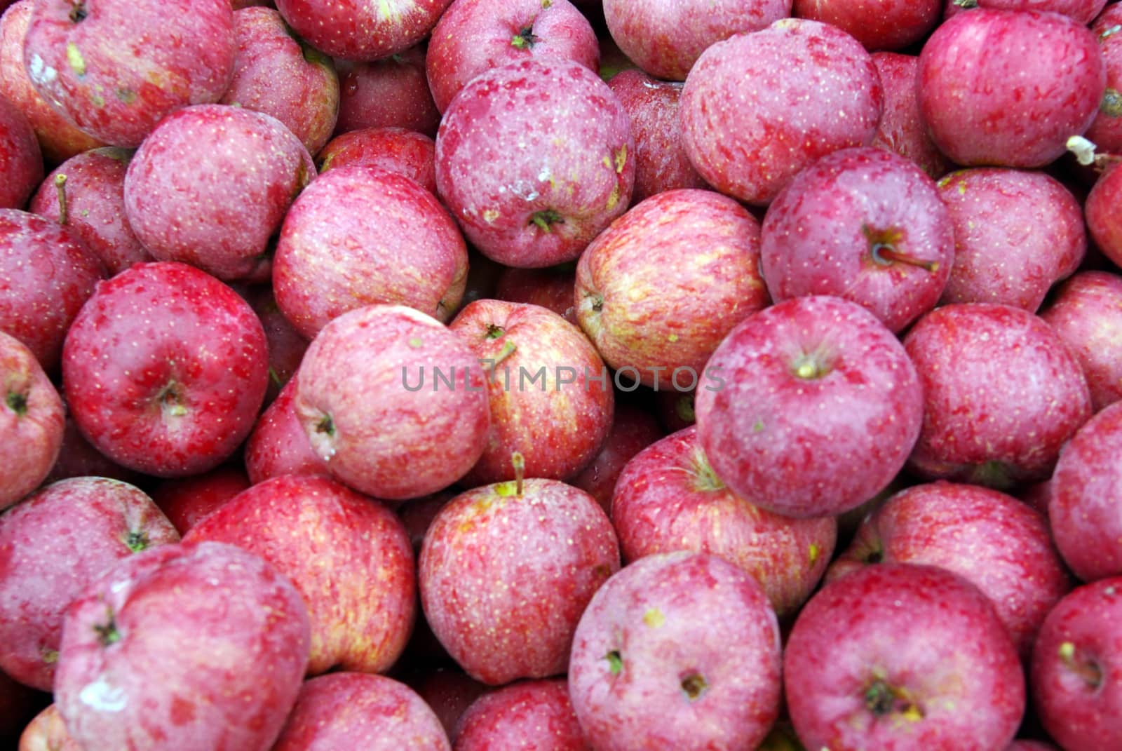 Red apples texture, harvest time, close image.