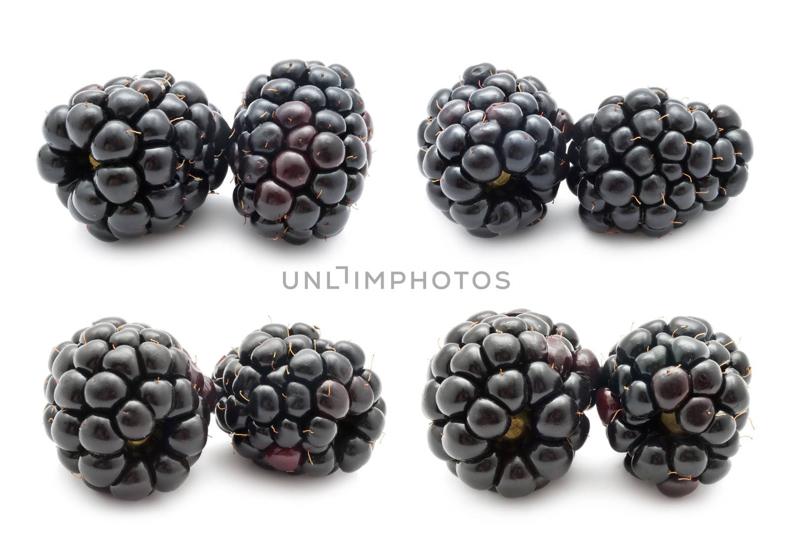 Collection of fresh blackberry isolated on white background