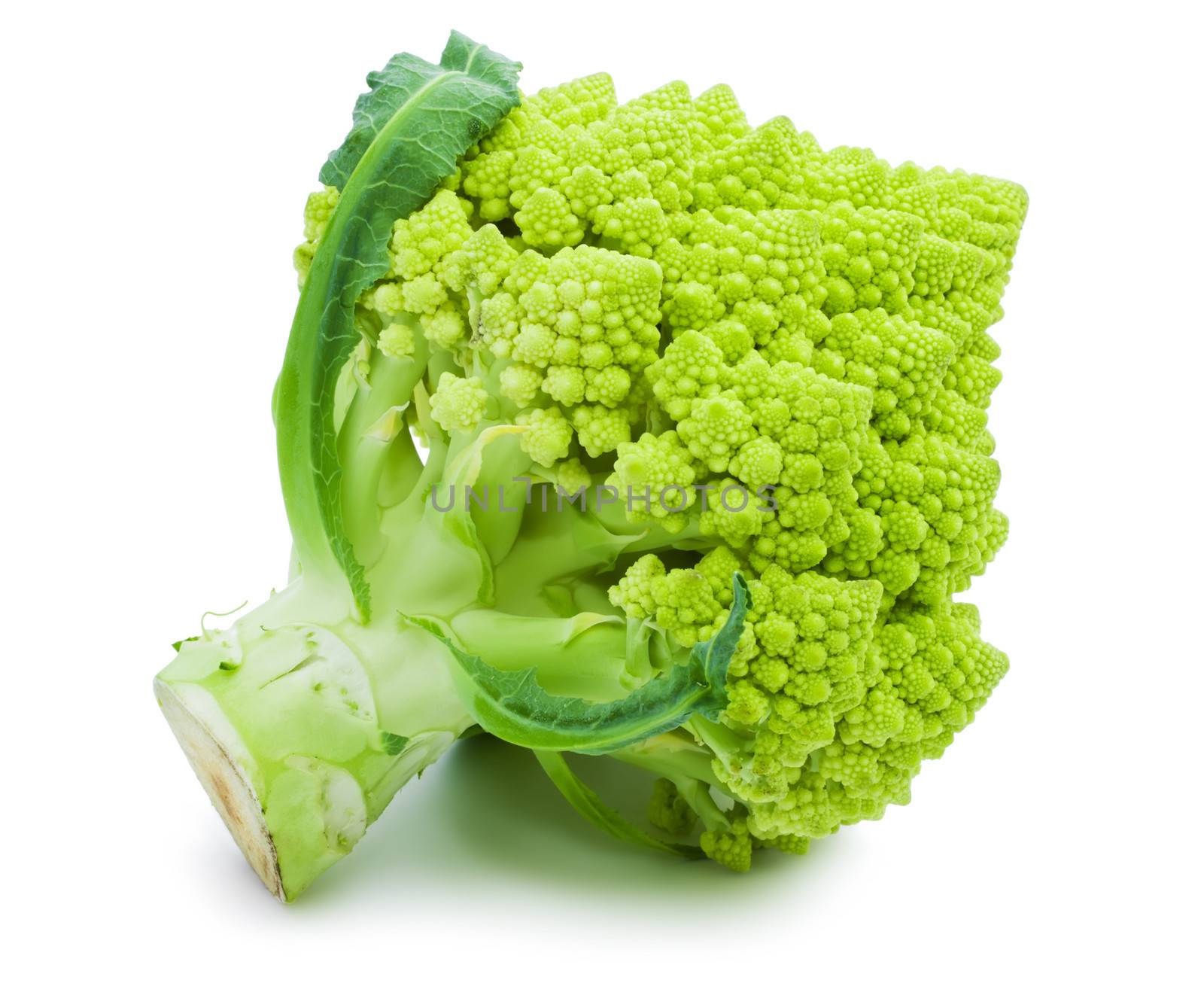 Green Romanesco broccoli isolated on white background