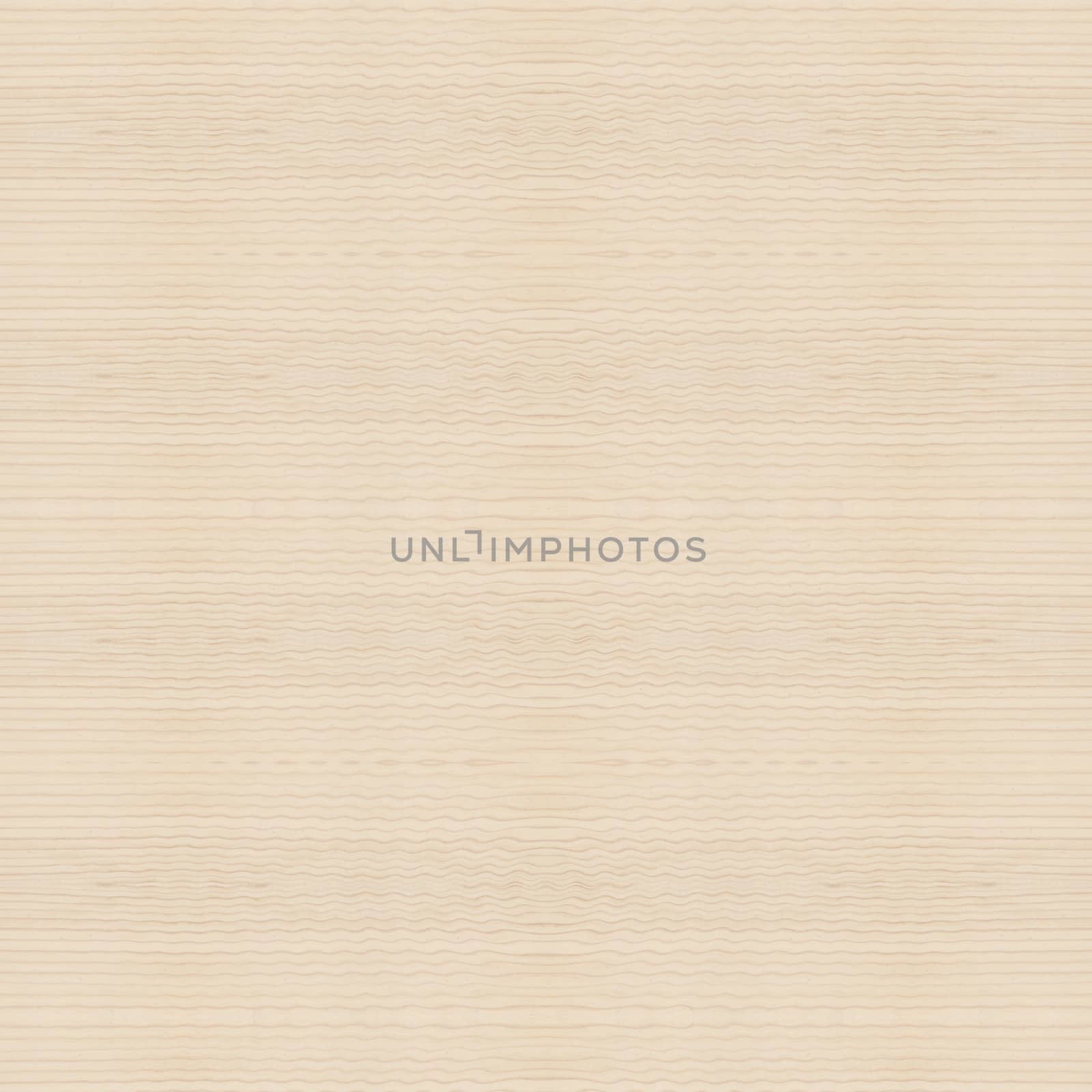 Background of wood texture closeup