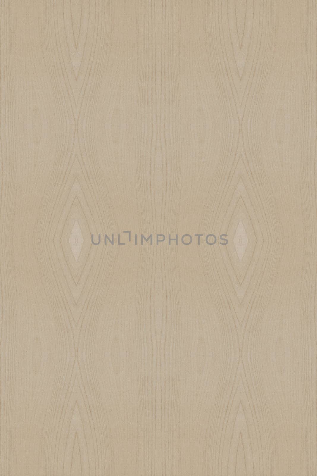 Texture of wood background closeup