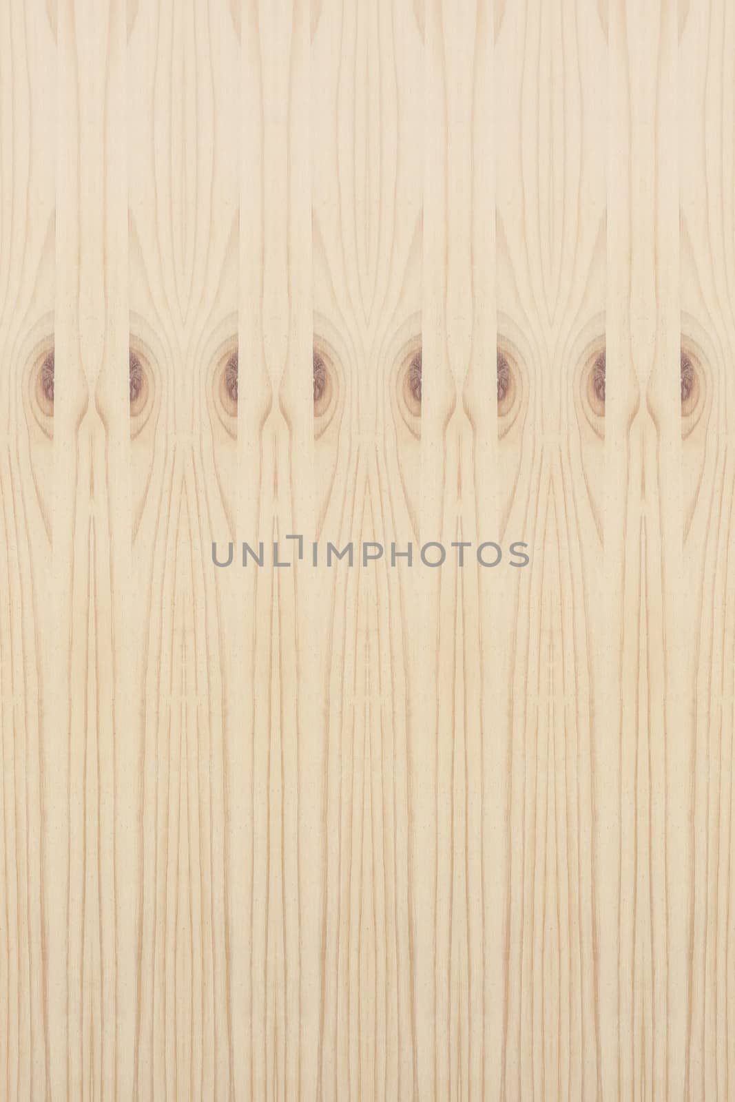 Background of wood texture closeup
