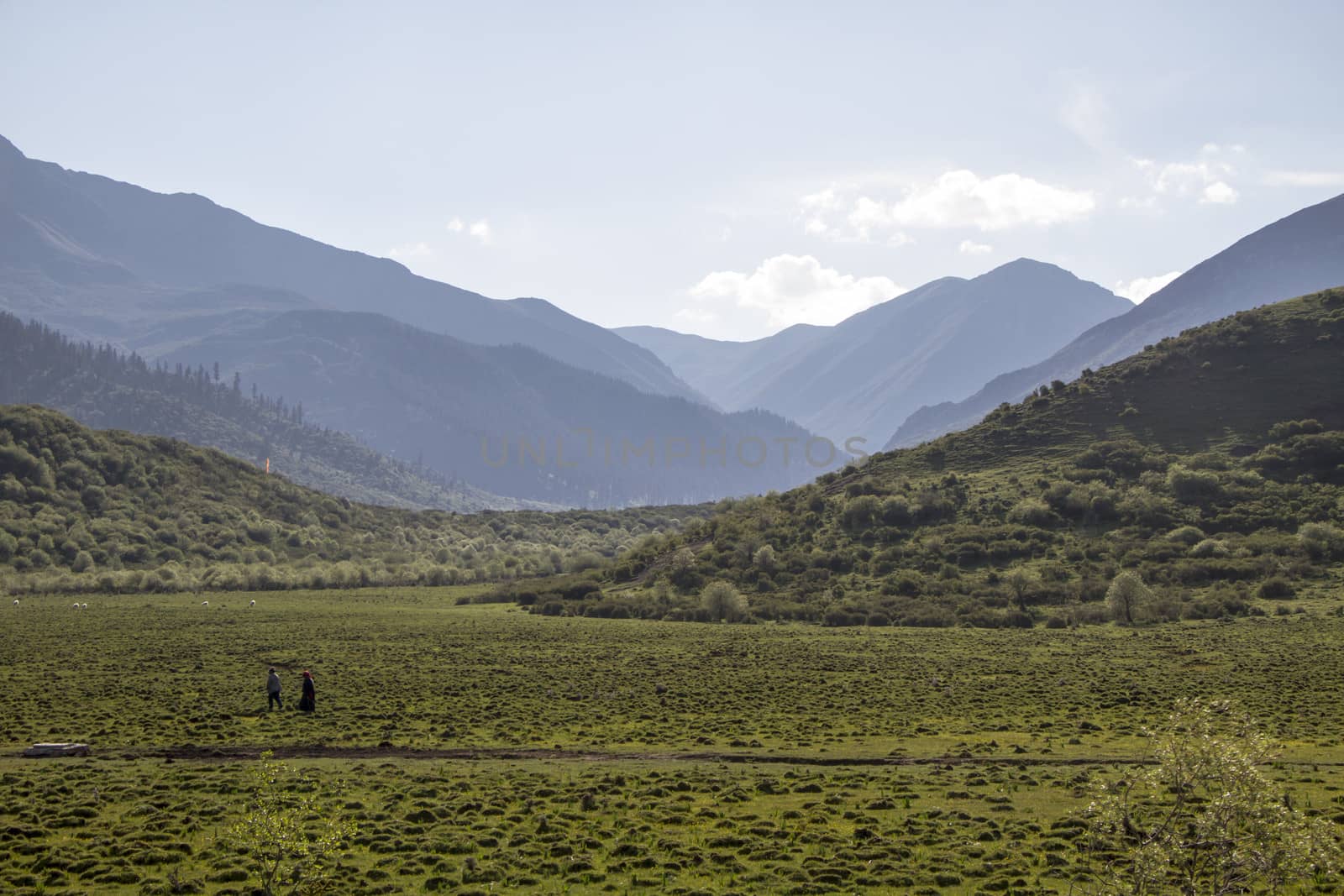 Beautiful landscape of sichuan, China 