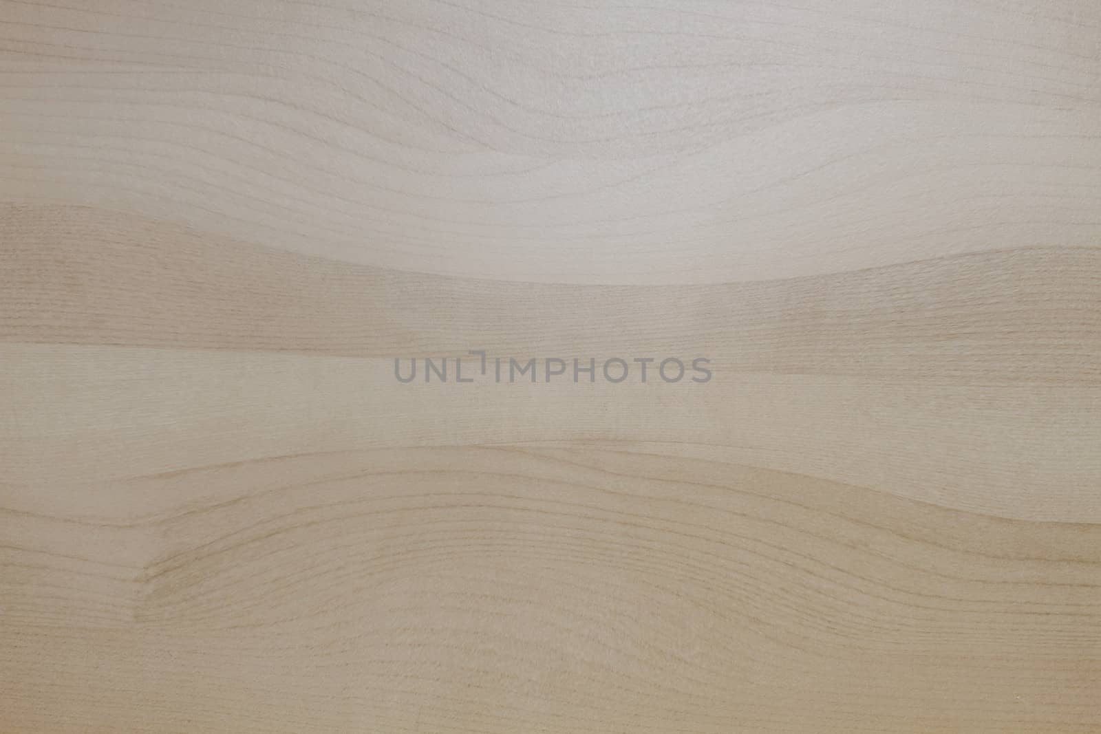 Texture of wood background closeup 