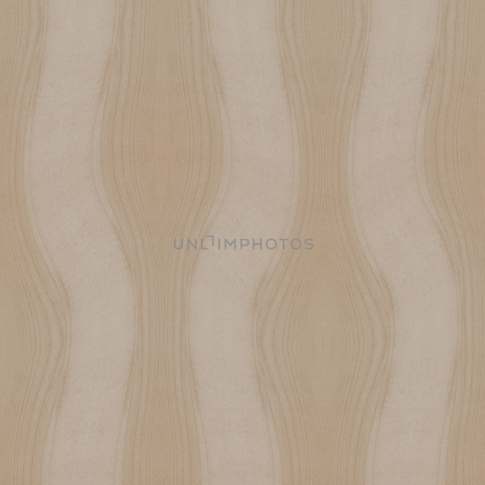 Texture of wood background closeup