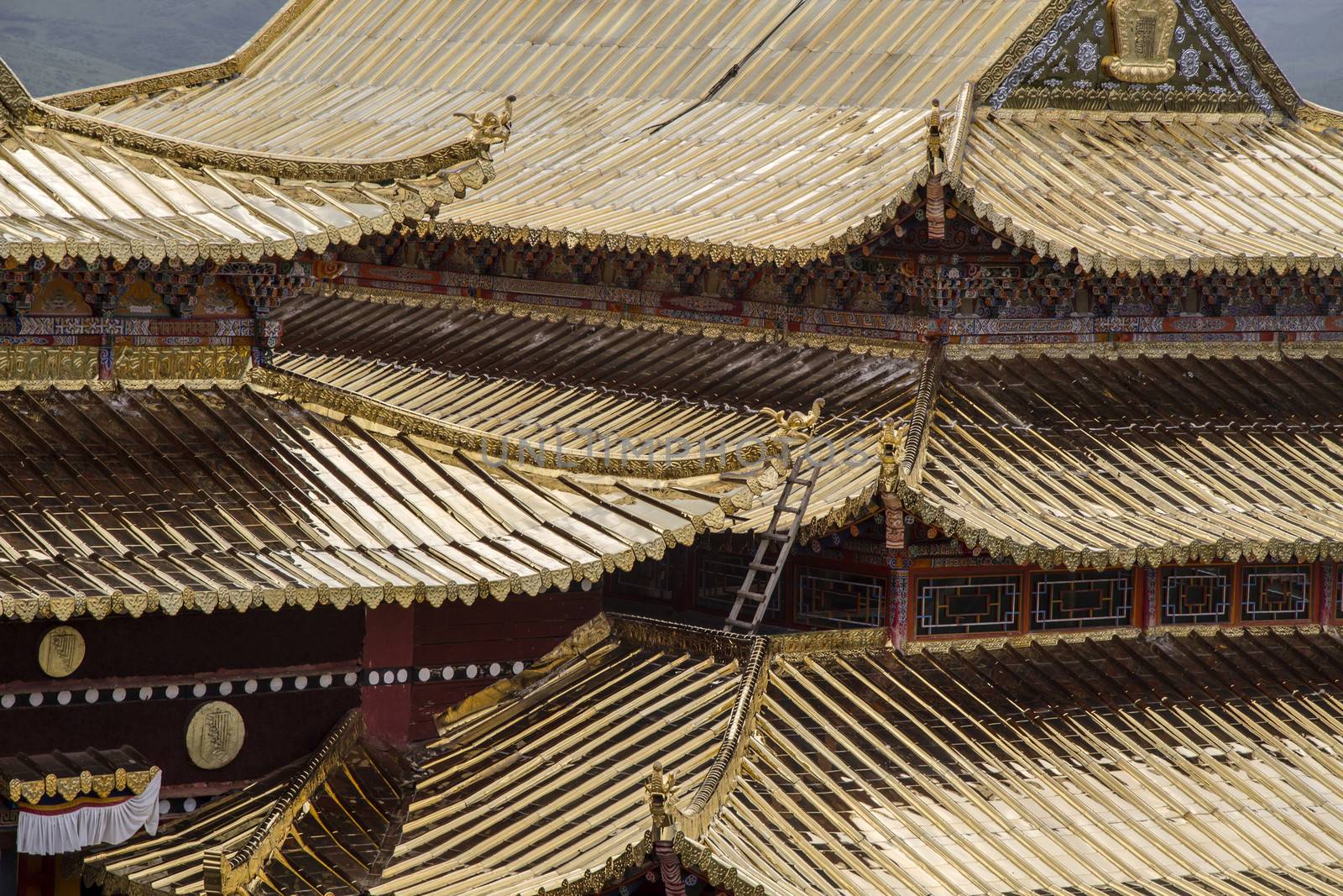 Golden roof of Langmusi temple , sichuan, china