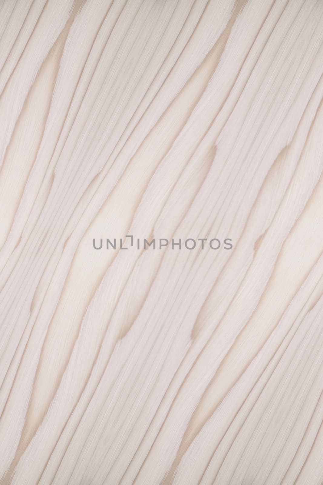 Background of wood texture closeup
