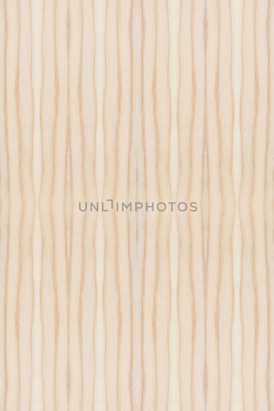 Background of wood texture closeup