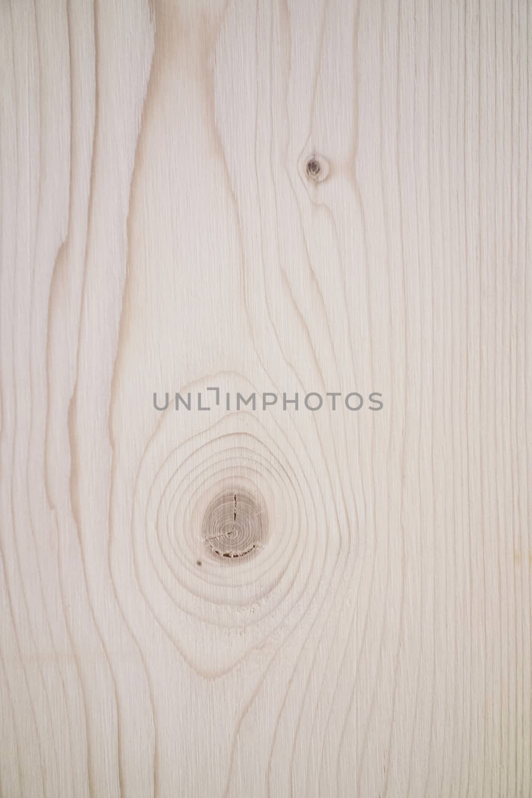 Background of wood texture closeup 