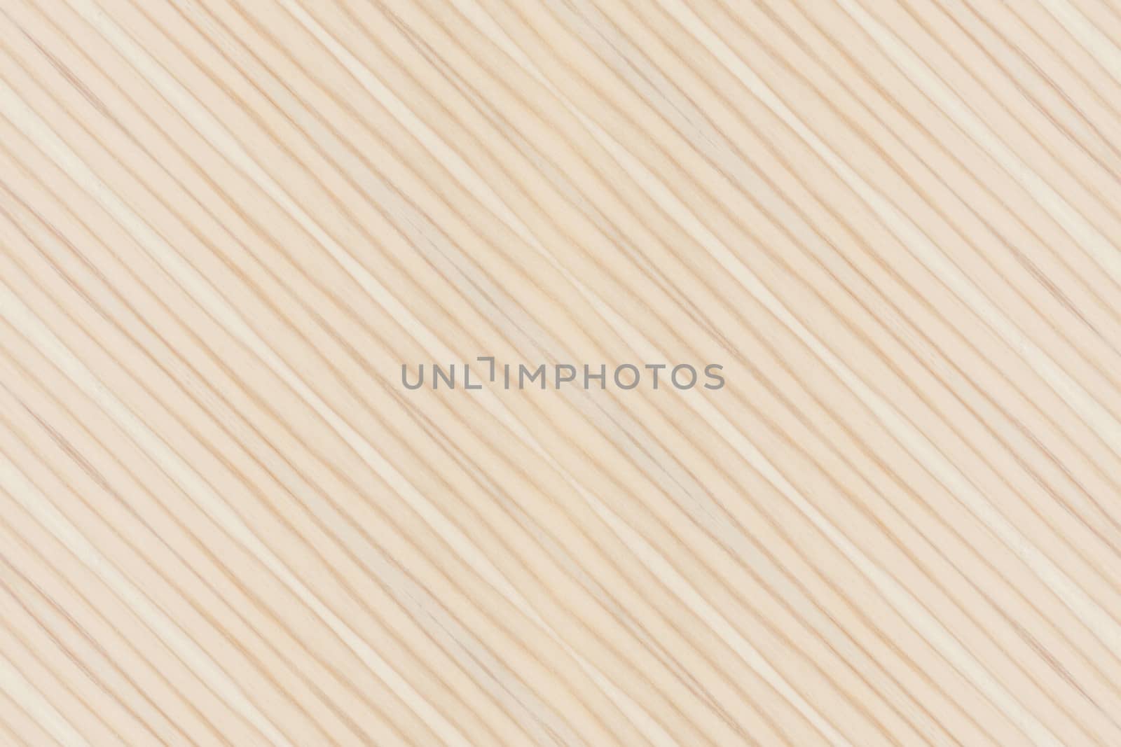 Background of wood texture closeup