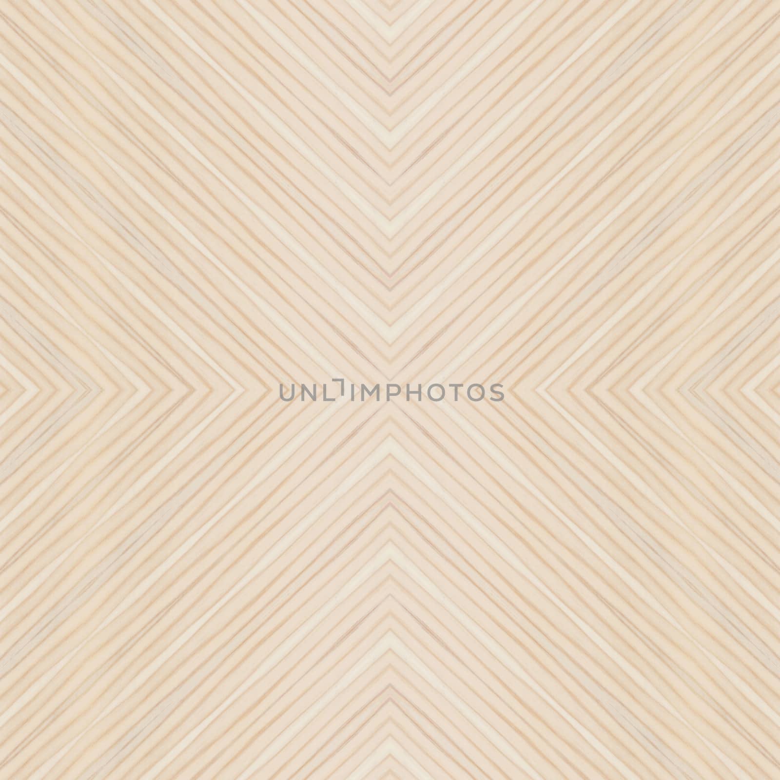 Background of wood texture closeup