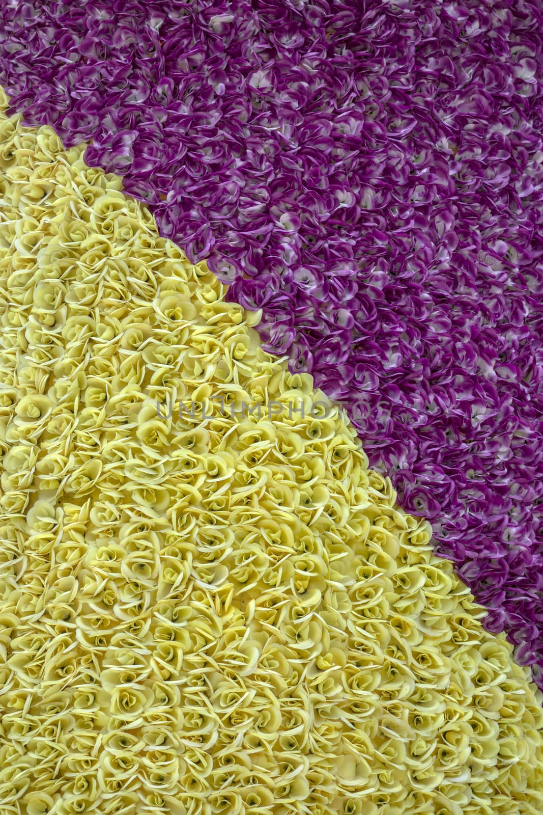 Texture of yellow and red flowers background 