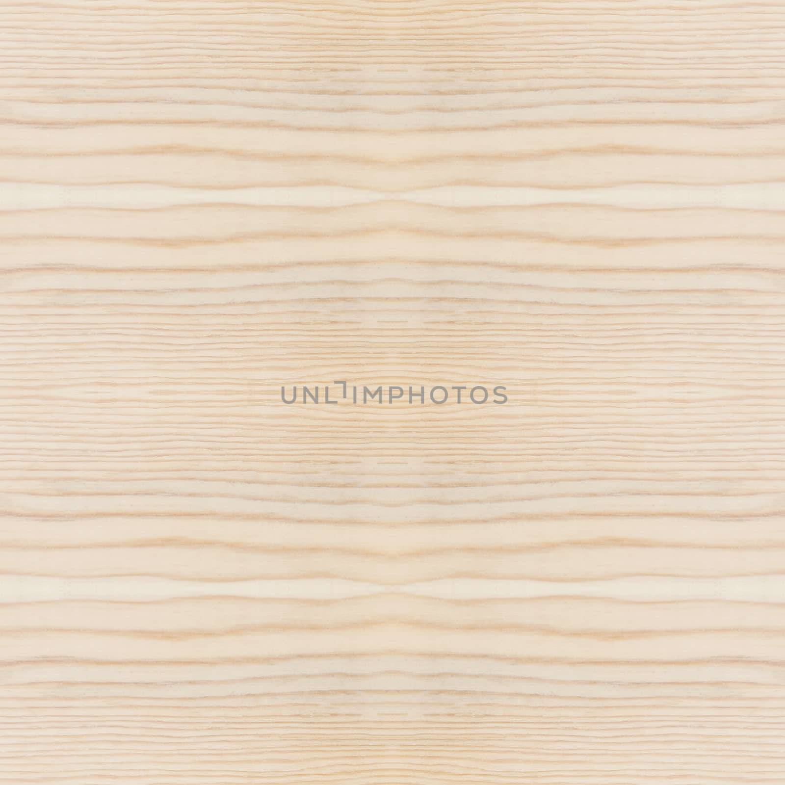 Background of wood texture closeup