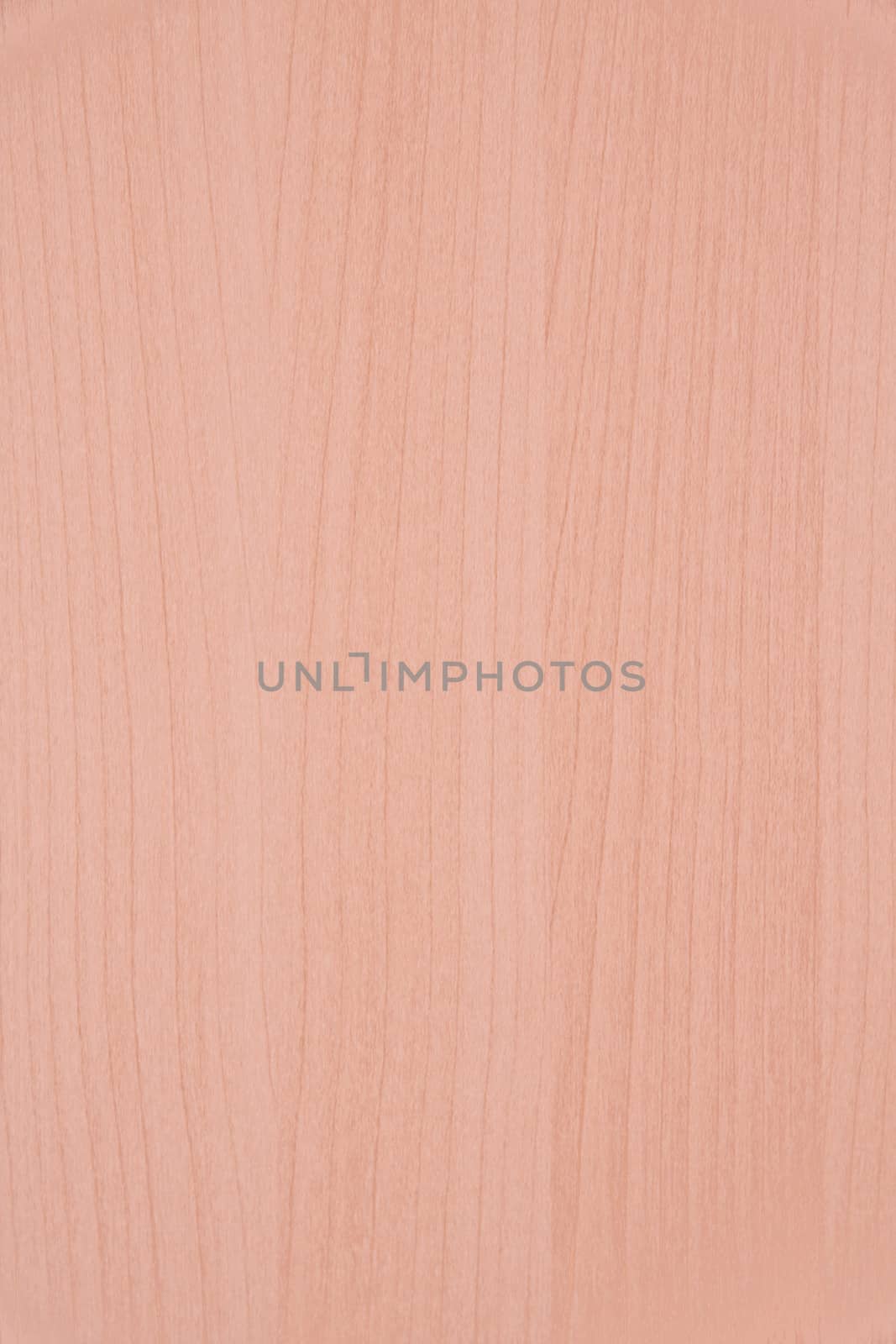 Texture of wood background closeup 
