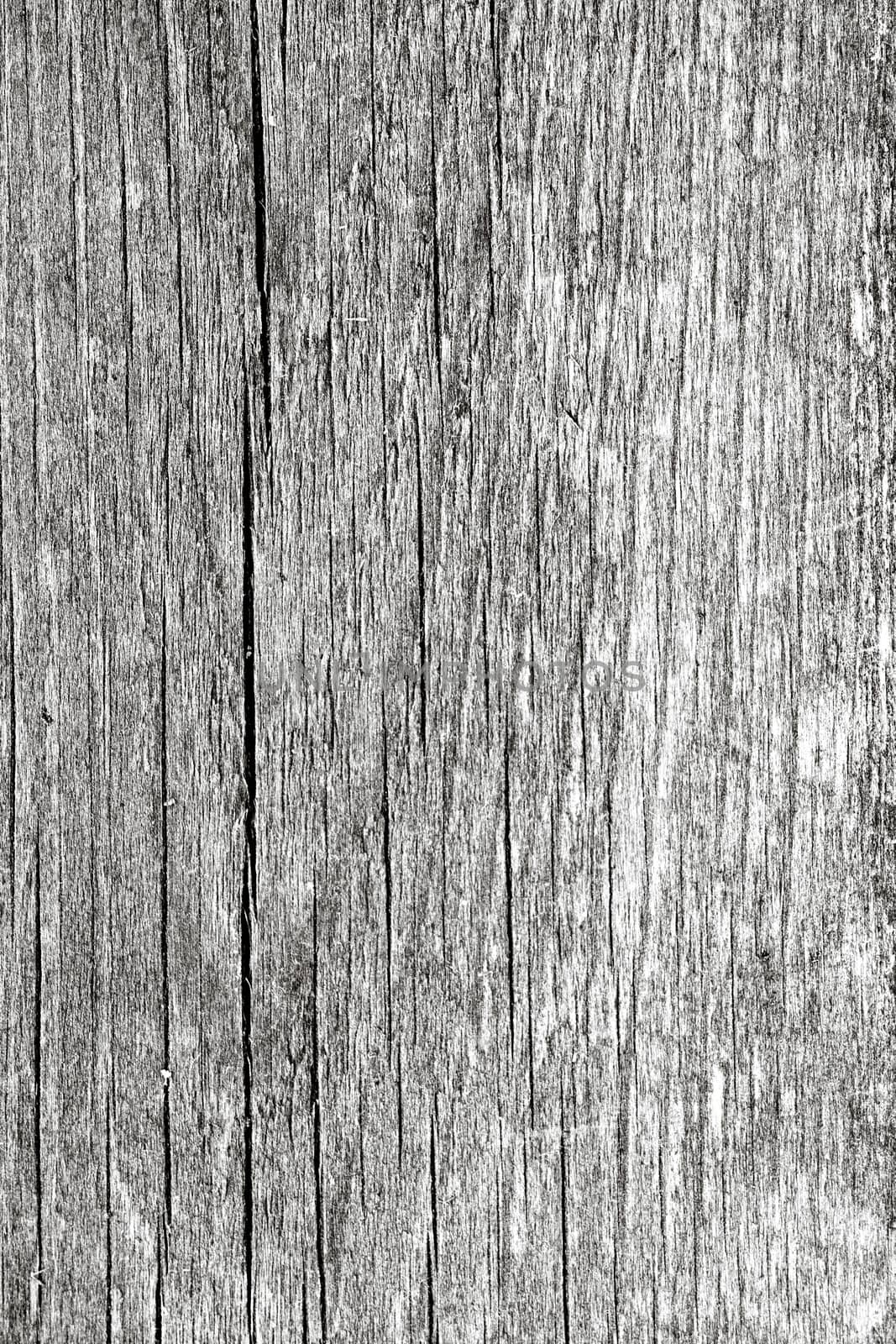 Texture of fence weathered wood background 