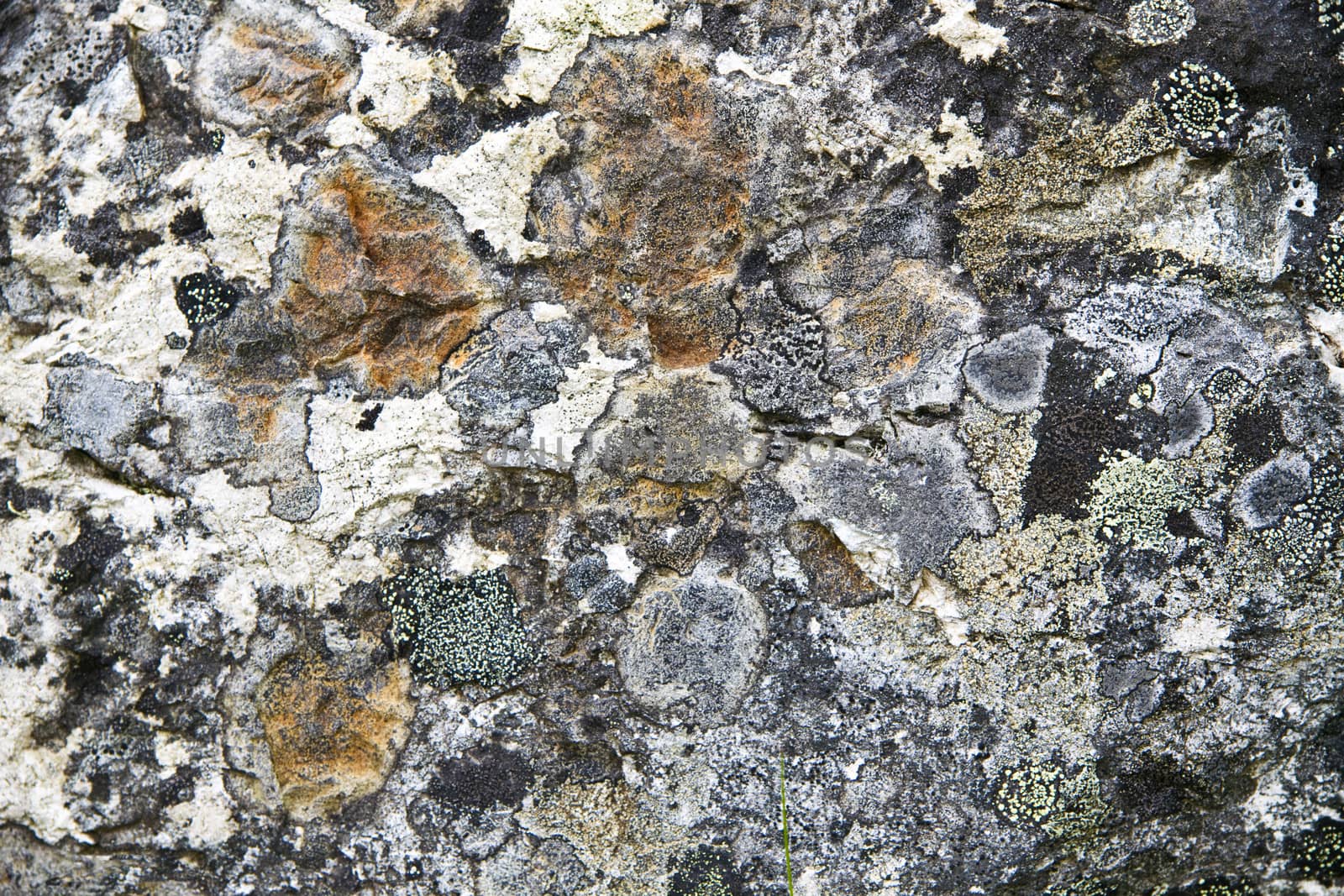 Texture of weathered stone background