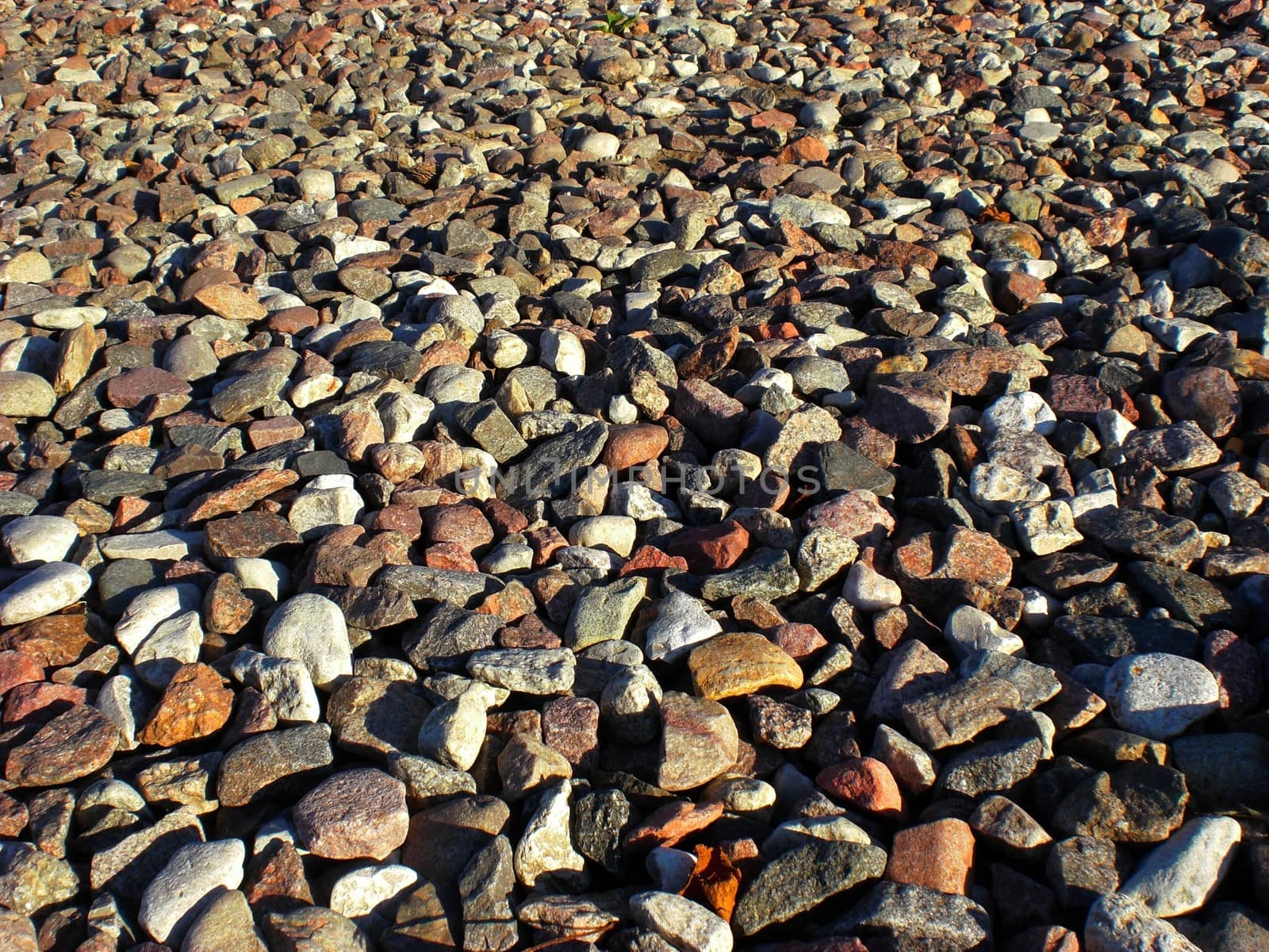 Ground full of small stones