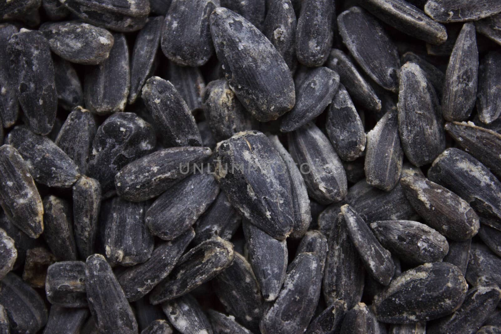 A texture with roasted sunflower seeds.