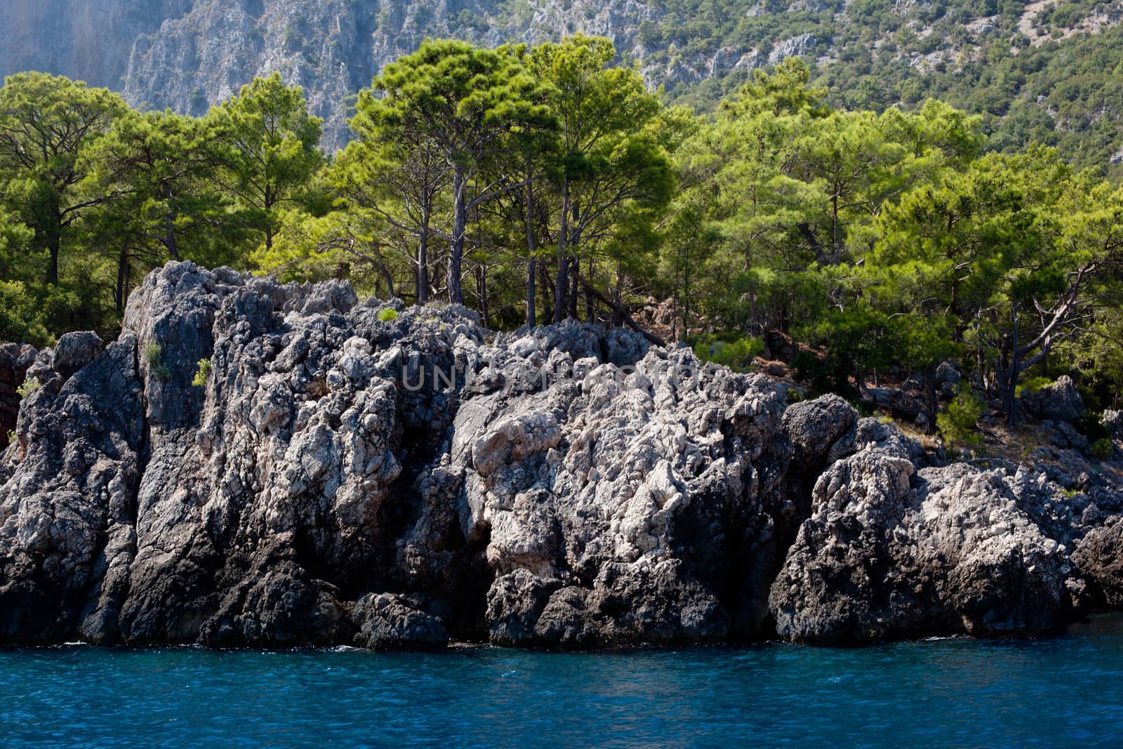 Wooded mountain and sea in Asia Minor
