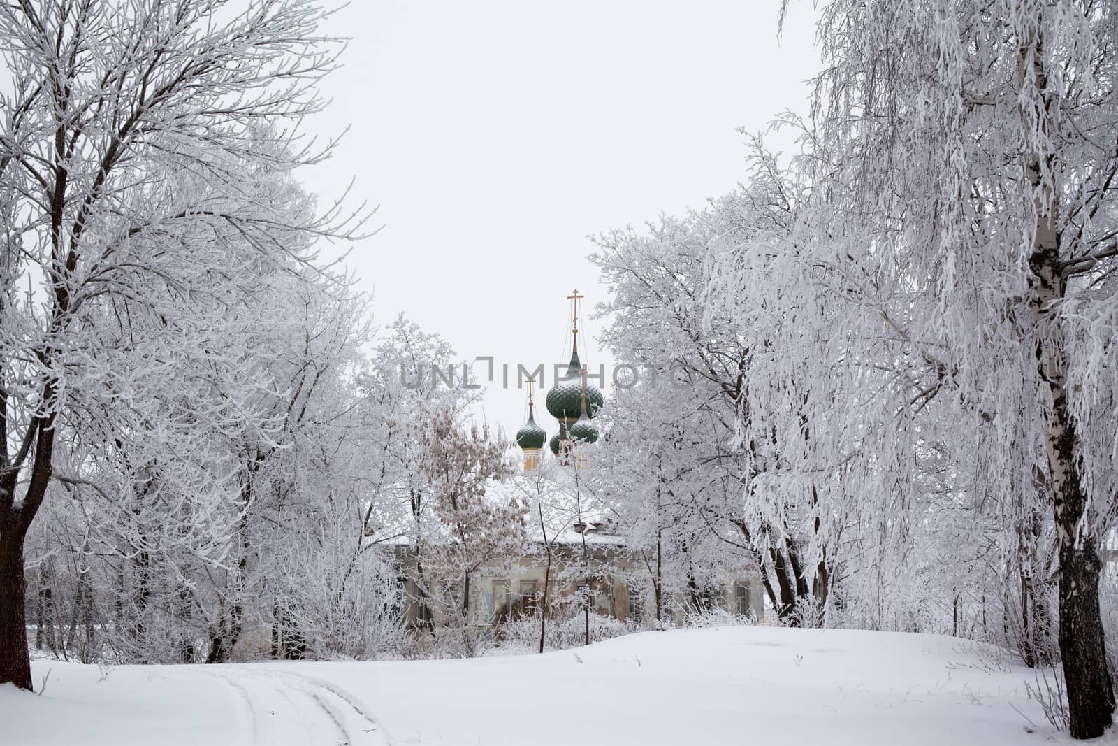 White trees and church in winter in Uglich
