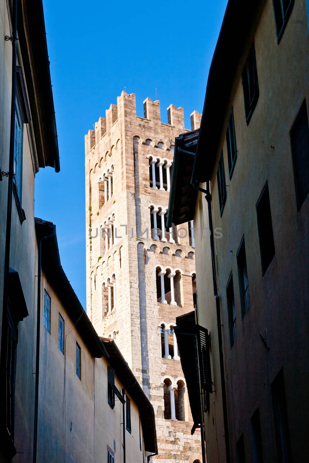 An old big medieval tower in Lucca 
