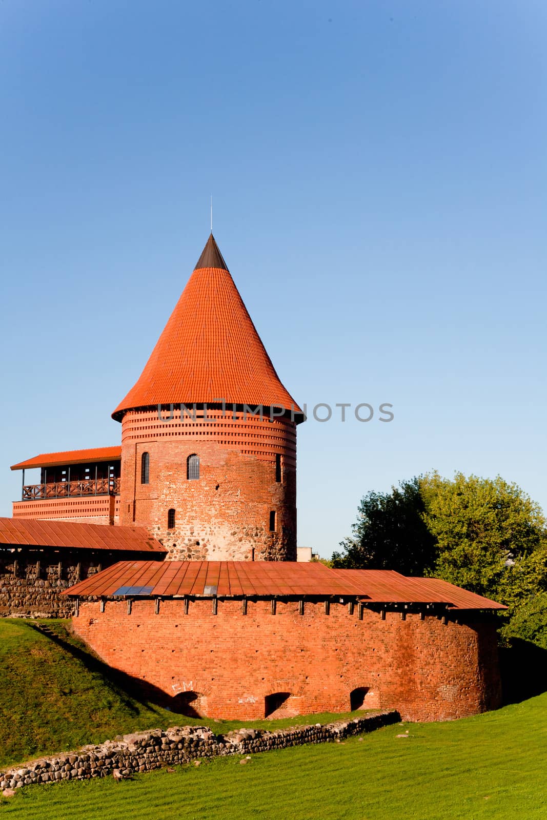 A part of Kaunas castle in the park in Lithuania
