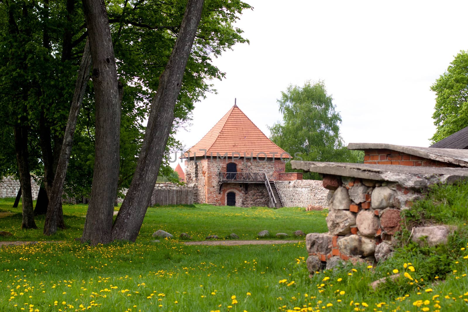 A part of Trakaj castle in the park in Lithuania
