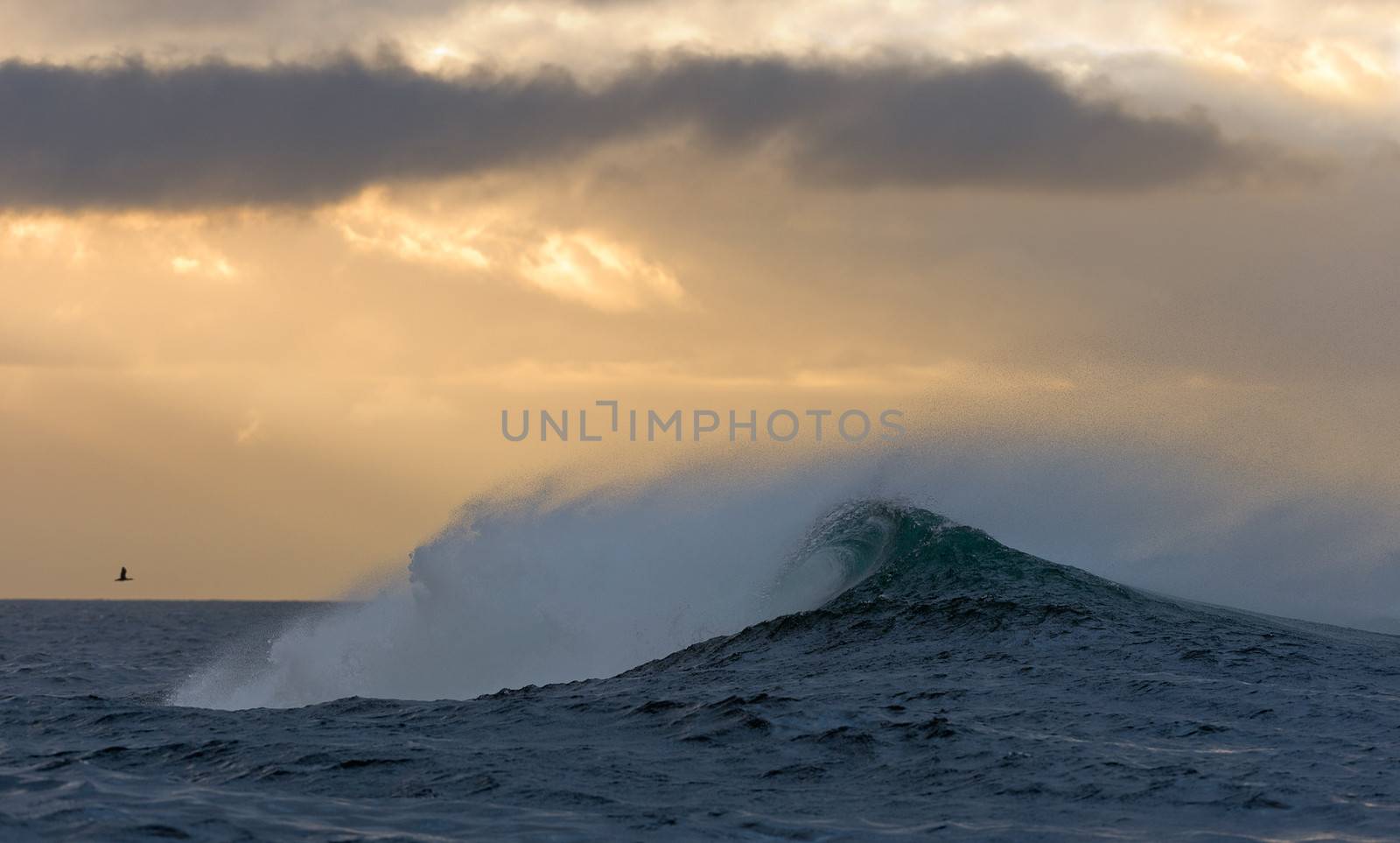 Ocean  with big wave on cloudy day. 