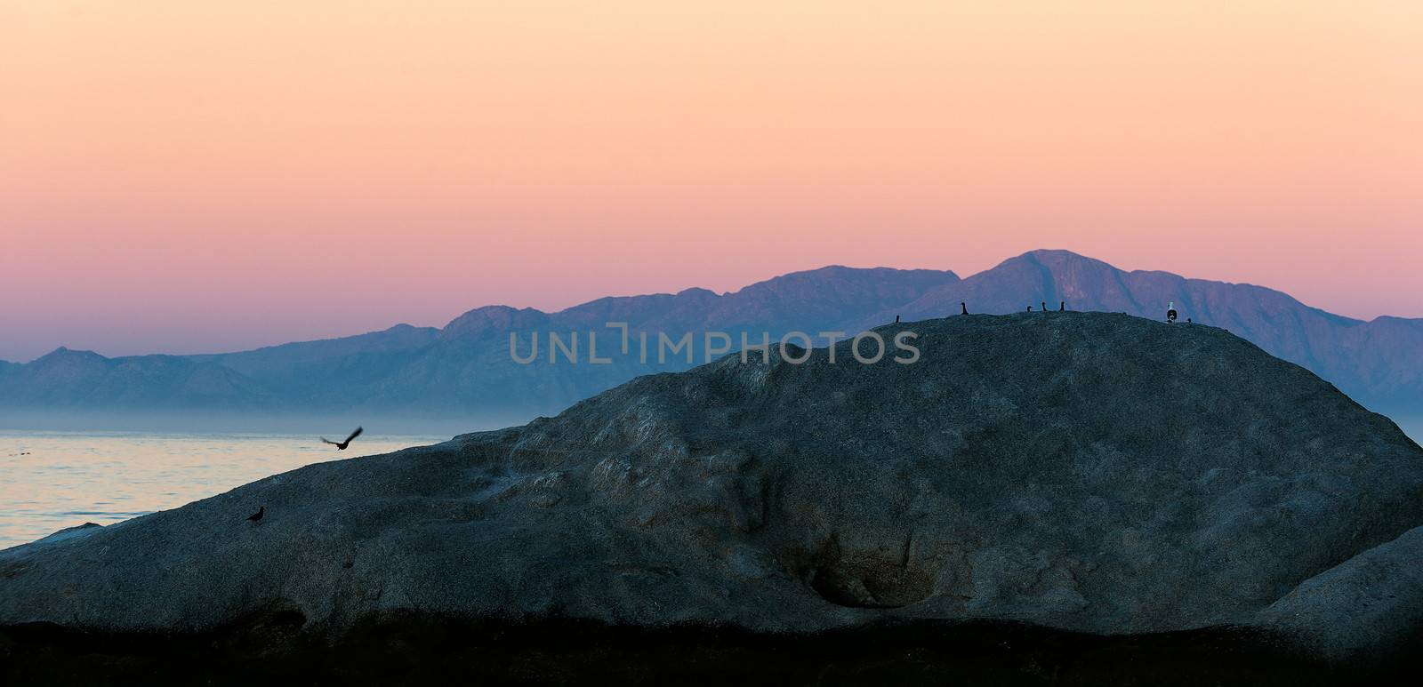 Sunset at rock landscape. Ocean coast with rock formation island silhouette under evening sun. Simons Town. South Africa