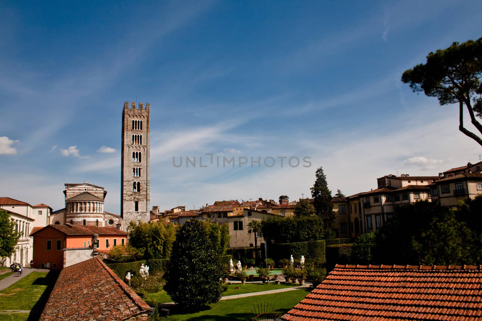 An old big medieval tower in Lucca 
