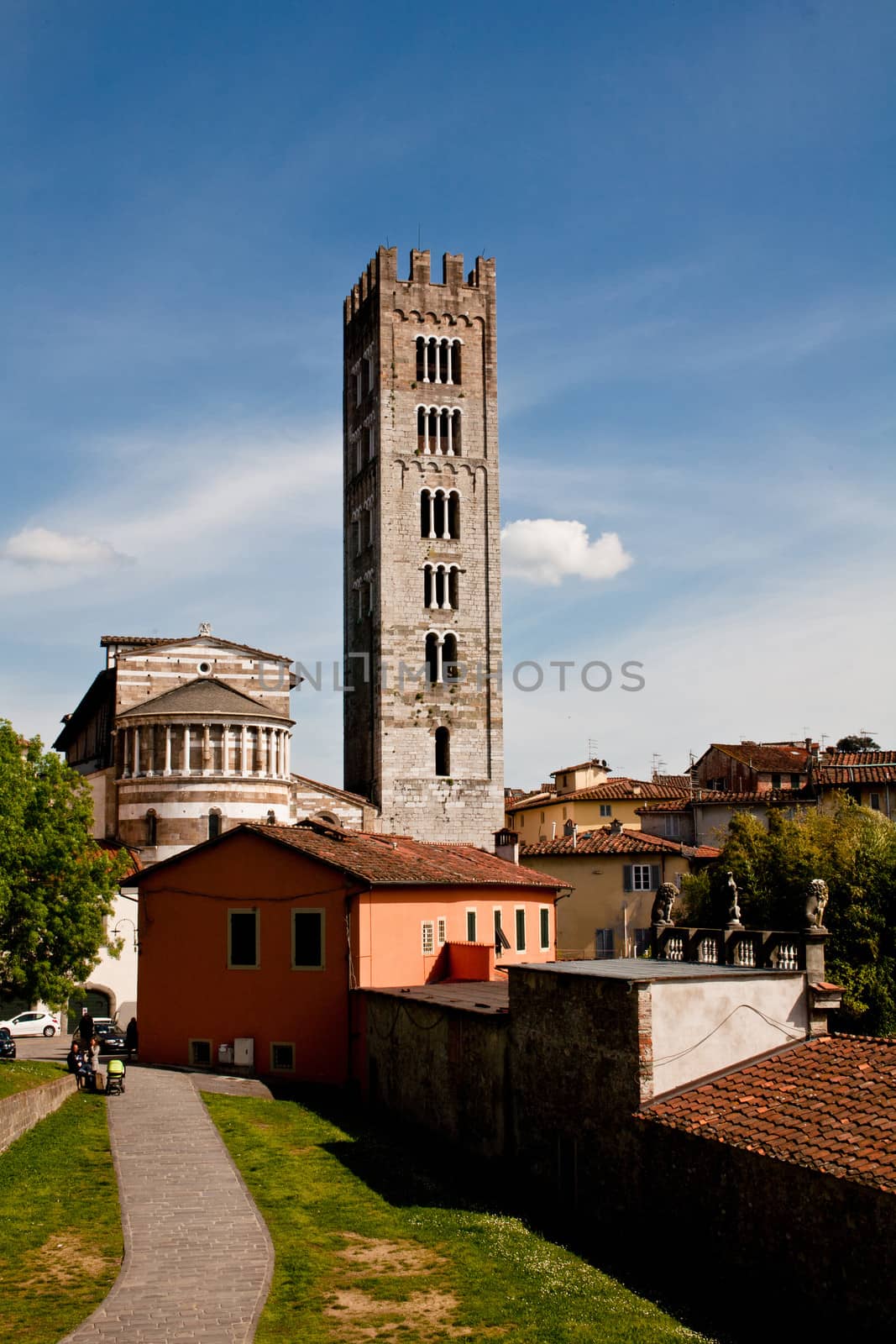 An old big medieval tower in Lucca 
