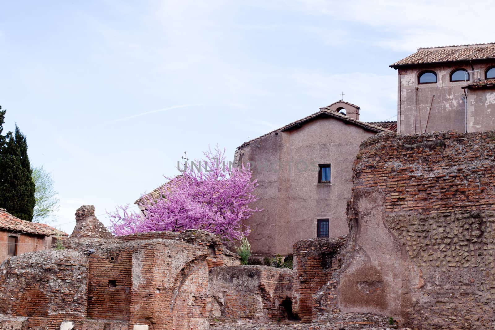 Old roman ruins in Roma
