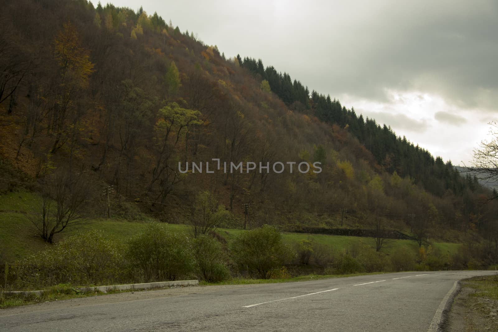 Asphalt road in mountains in autumn