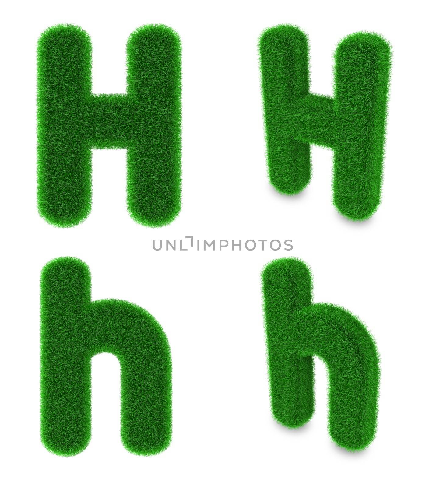 Letter H covered by green grass isolated on white background