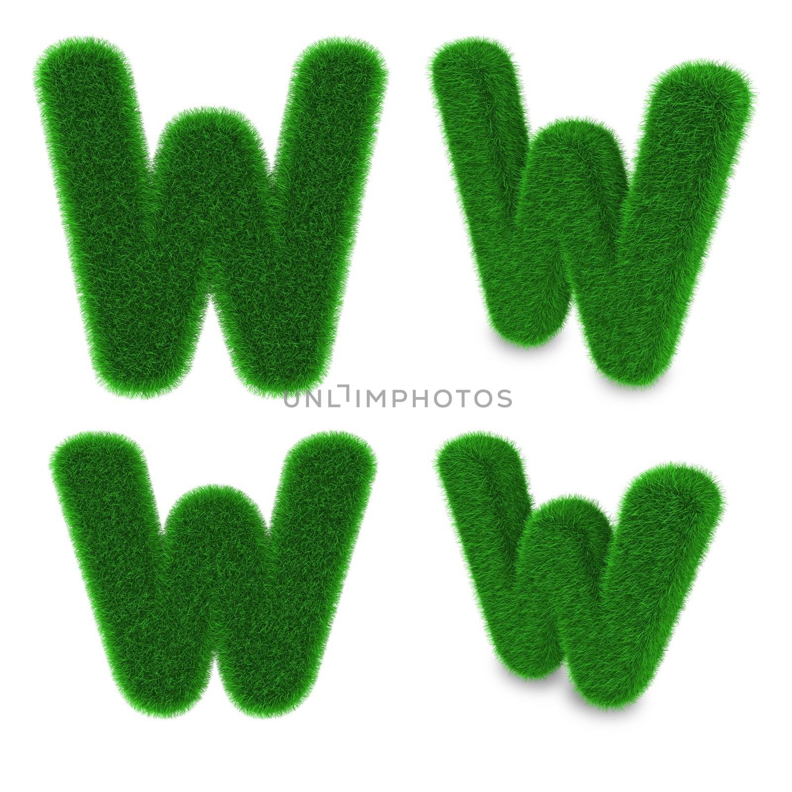 Letter W covered by green grass isolated on white background