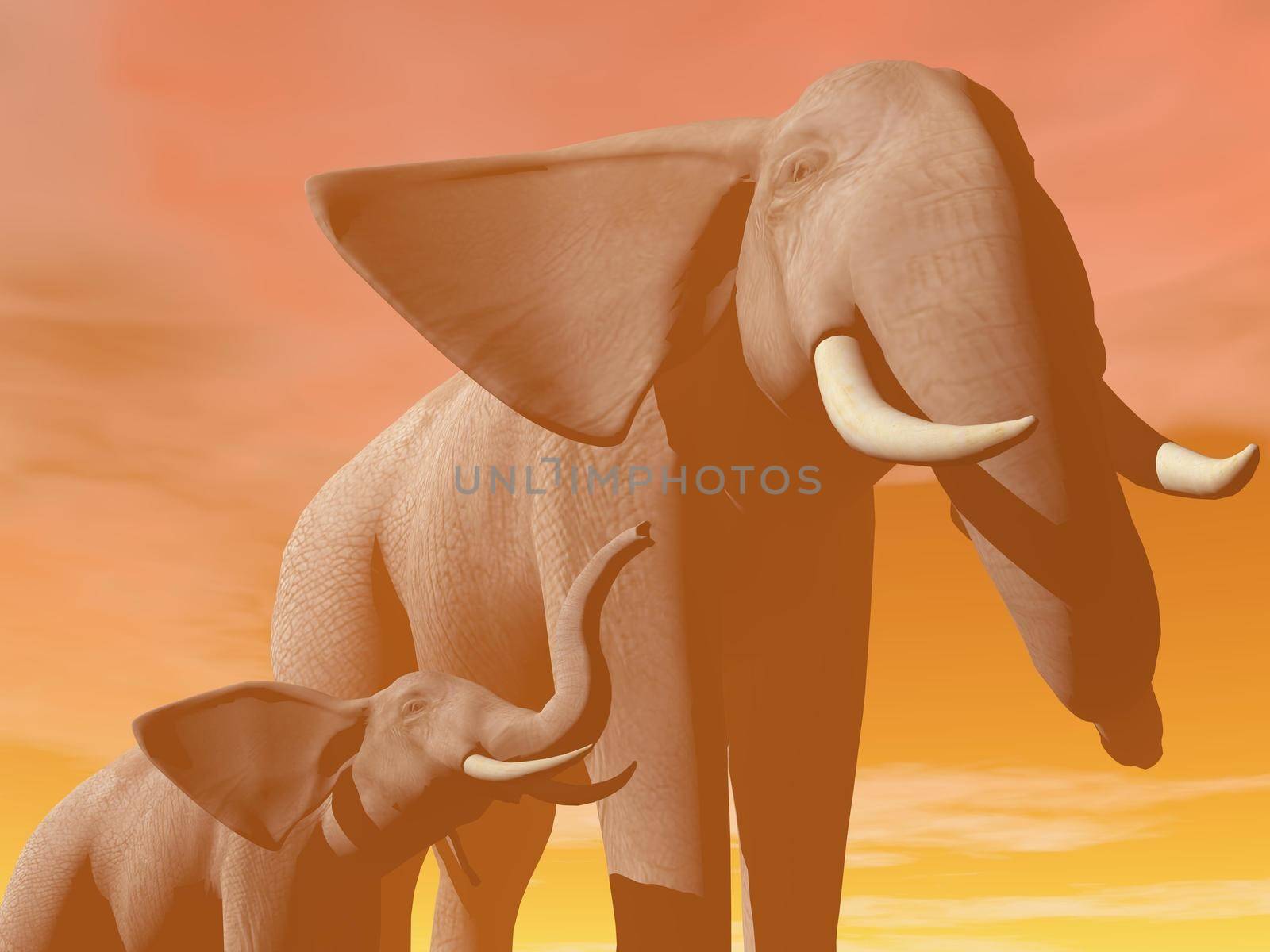 Close up on mum and baby elephant in orange background by sunset