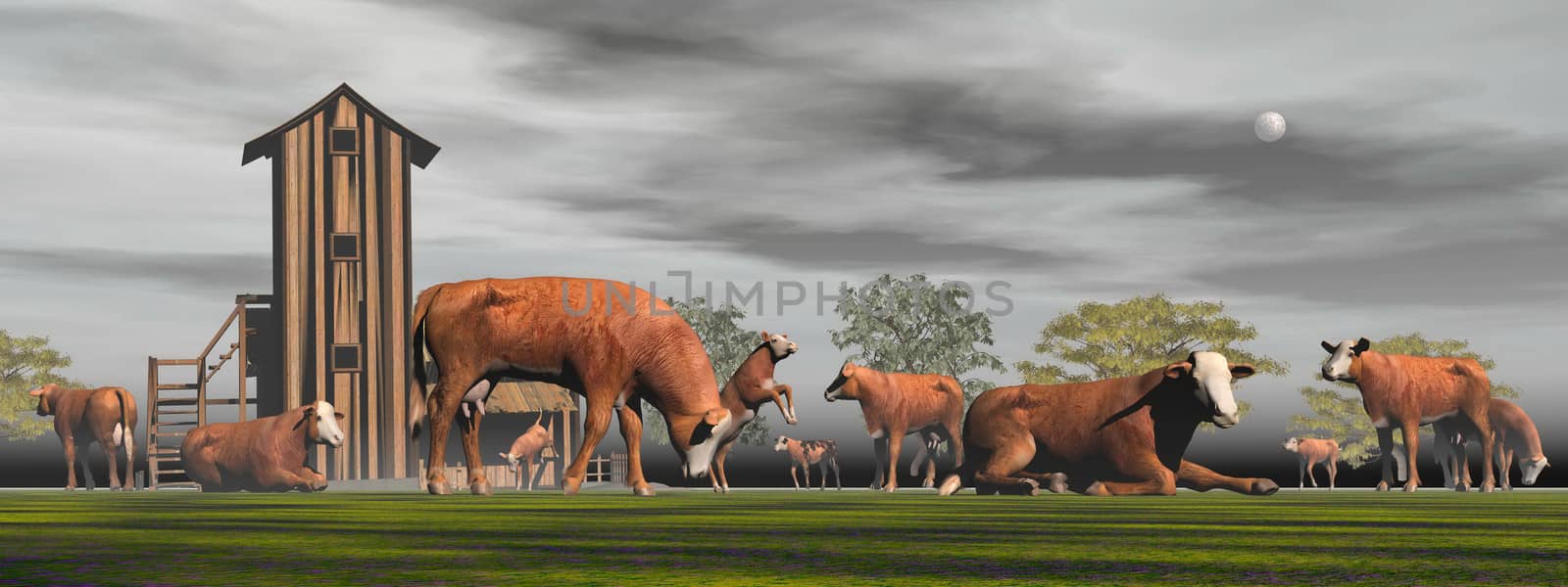 Herd of hereford cows - 3D render by Elenaphotos21