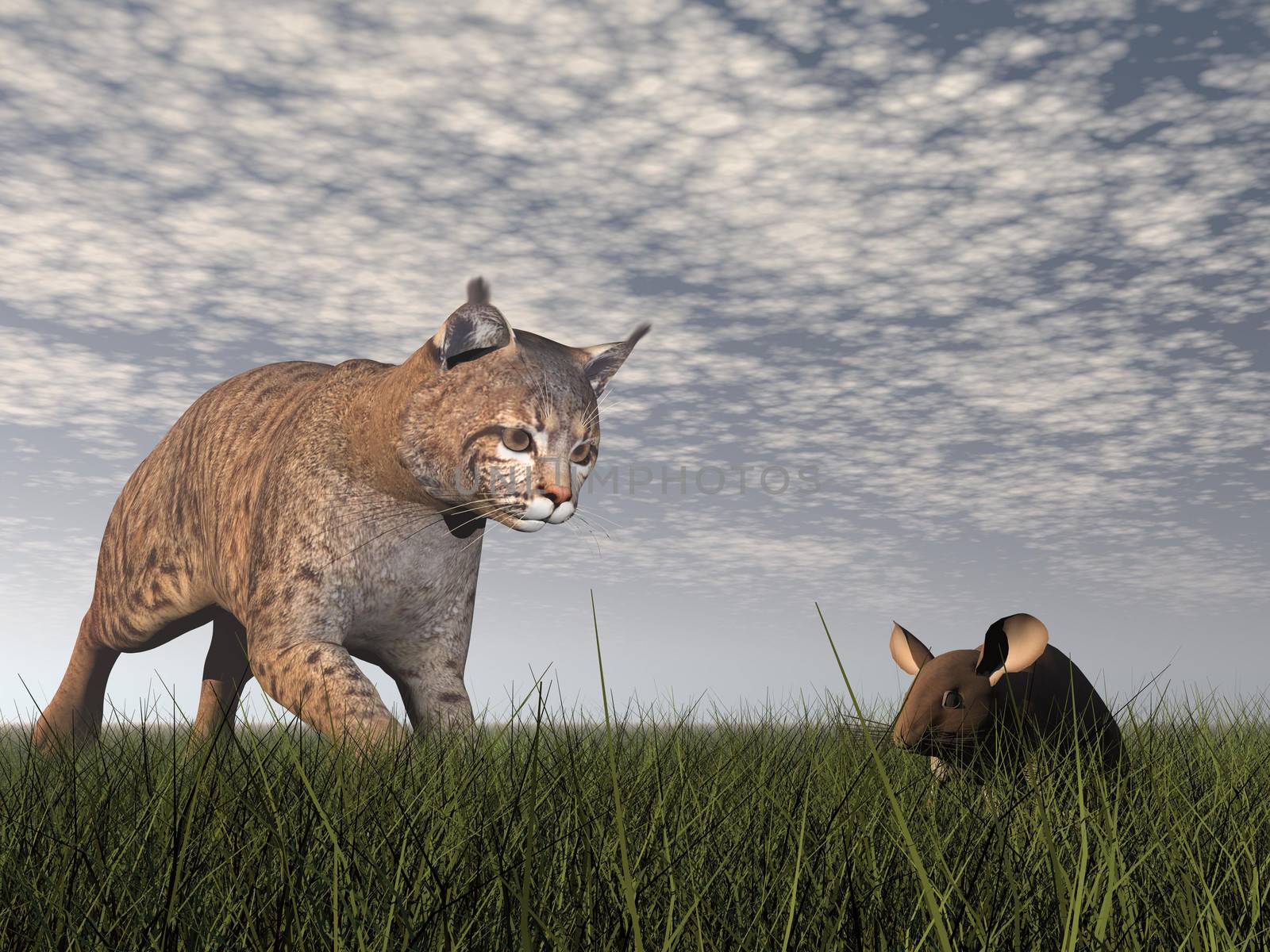 Bobcat hunting mouse - 3D render by Elenaphotos21